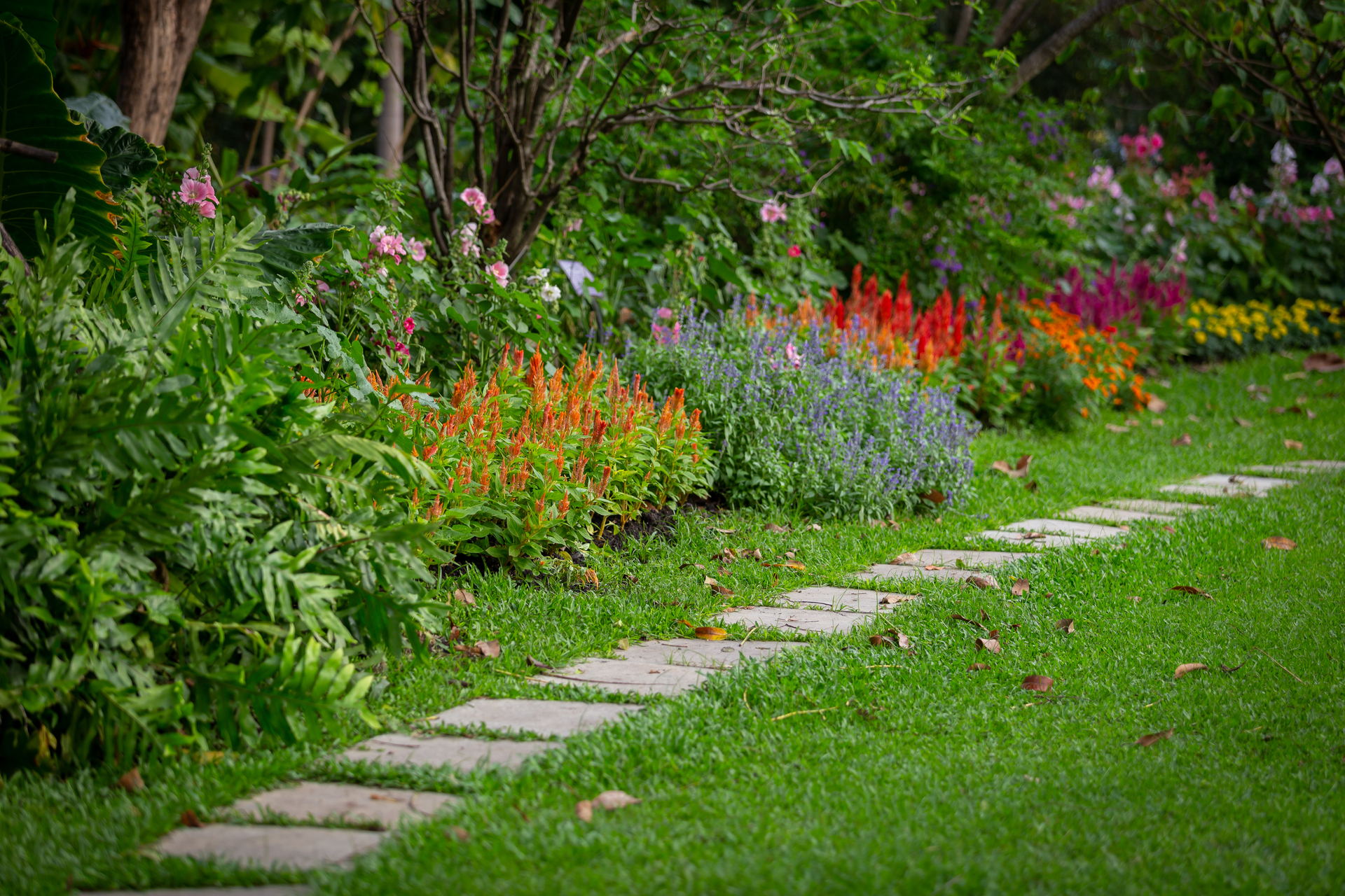 Low-Maintenance Garden Ideas: Beautiful Blooms with Minimal Effort